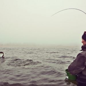 Fishing Lodge Fyn - Fiskelodge Fyn